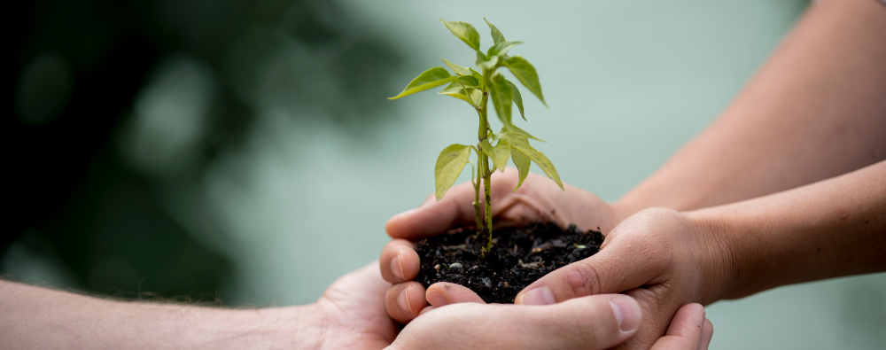 Costituire una cooperativa - Coopbund