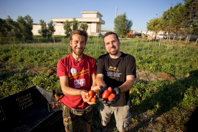 cooperativa Pietra di scarto